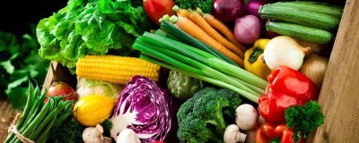 哪些因素会影响蔬菜价格,气候和消费导向直接决定价格