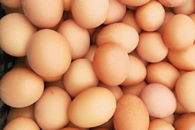 哪种鸡蛋无法孵出小鸡，寡鸡蛋、双黄蛋无法孵化