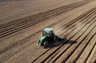 玉米种子播种前注意事项,不可在同一地块连续种植