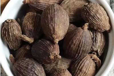 草果简介,是著名的药食两用中药材