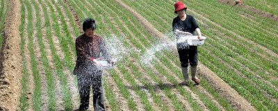 怎么通过包装袋区分硝硫基复合肥,可以看袋上是否标注含缩二脲等字样