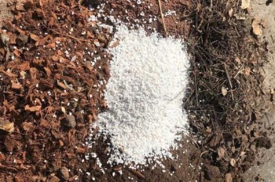 使用多菌灵要注意什么,蔬菜收获前5天需停用