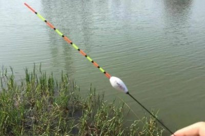 野钓黑漂为什么不中鱼，可能是杂鱼闹窝或鱼钩过大