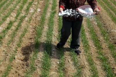 小麦追肥时期在什么时候,一般在拔节期