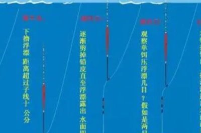 台钓鲤鱼如何有效调漂,先重铅找底、再逐渐修剪铅皮