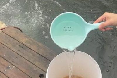 使用em菌的好处,可以提高饲料的适口性