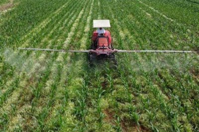 壮根剂的用法，苗床育苗时每株约用1-2克