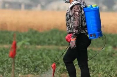 使百克咪鲜胺的使用方法,针对不同作物的使用方法不同