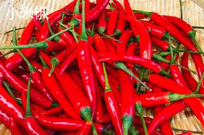 杭椒和小米椒的区别是什么,外观、味道、产地均不同