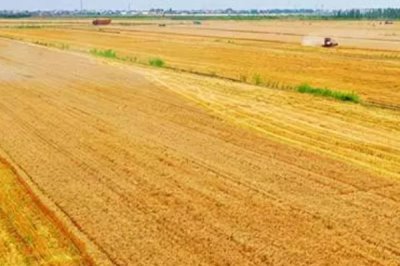 一亩地长宽是多少米,只需长乘宽等于667平方米即可