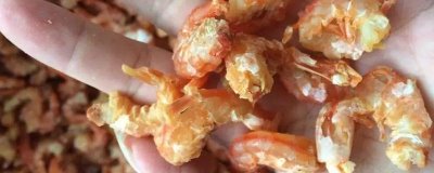 山东烟台市长岛的特产,有金钩海米、长岛海带等