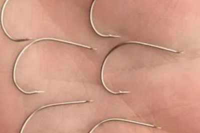 秋季钓鱼技巧,中秋是气温最适宜的时节