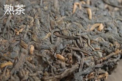 普洱茶的产地,主产于云南省