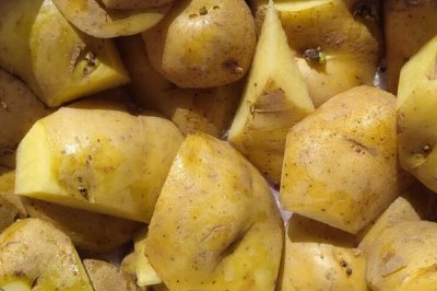 河南秋季何时适合种植土豆,一般为8-9月份