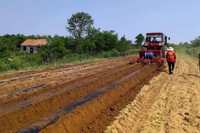 集体土地租赁的期限,集体土地租赁合同不可超过20年