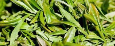 广东名茶排行榜，广东是一个饮茶大省