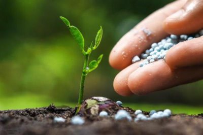 生物钾肥有什么作用,有强大的活化能力