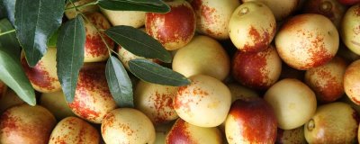 冬枣裂果的原因,可能是水分失调或营养失衡等