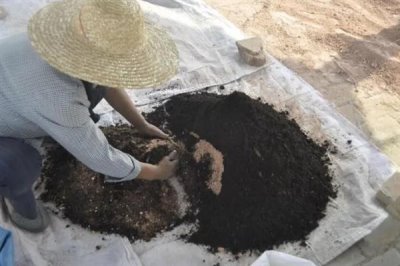 钙镁微肥的施用技巧,常见以下5种方式