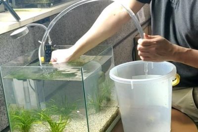 养鱼如何按先后顺序使用老三样，换水、升温后再下盐