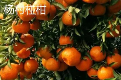广东省四会市的特产,四会玉器闻名遐迩