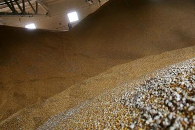 贮藏粮食要注意什么，贮藏前要清洗、暴晒各种器具