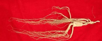辽宁省桓仁满族自治县的特产，包括桓仁山参、桓仁大米、桓仁冰酒等种类