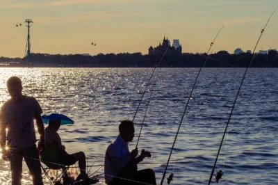 垂钓大罗非鱼的方法，可选择调1目钓3目