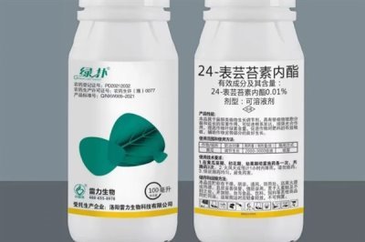 芸苔素的使用方法,可以叶面喷施也可拌种