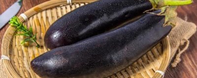 茄子怎么施肥，幼苗期主施农家肥、盛果期主施氮肥