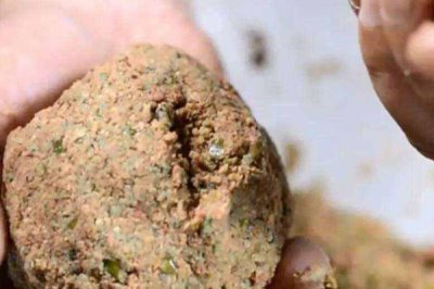 钓鲫鱼实用技巧,一年四季都可以作钓