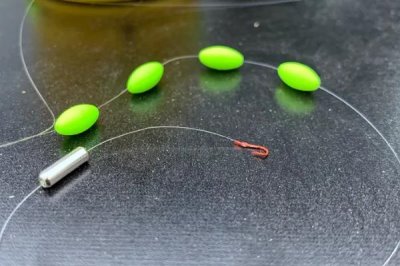 鲢鱼不开口的温度，低于5℃时会停止开口