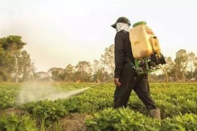 农药残留是什么,是指农药使用后在土壤和水体等的残留