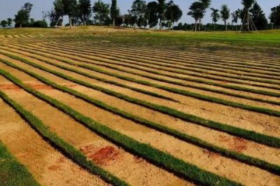 村干部能不能收回死者的承包地进行再分配,承包地可由家庭其它成员继承