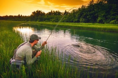 野钓鳊鱼的技巧,首选钓点为有沉底植物的敞水区