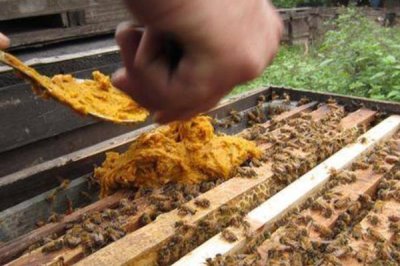 夏季蜂群的管理要点，核心工作是防暑降温