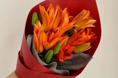 橙色百合花的寓意，寓意荣誉、胜利、富贵等