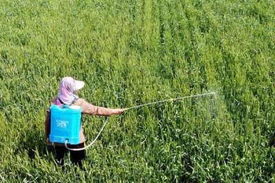 代森锰锌不能与哪些农药混用,不能和铜制剂和碱性药剂混用