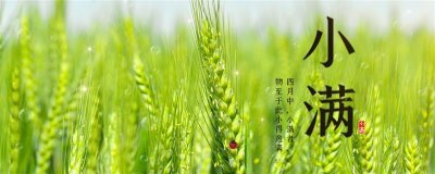 小满是什么节气,是第八个节气