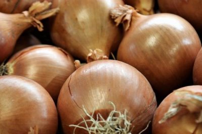 洋葱几月份上市,各地上市时间不同