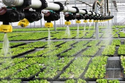 蔬菜冲肥注意事项，首先正确选择冲肥种类