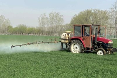 如何给低温麦田除草施药,要合理利用高温时段除草
