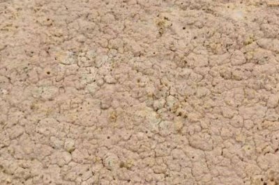 花生麸怎么发酵，一般需要借助发酵剂