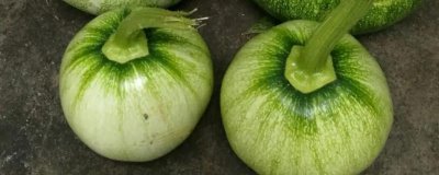 窝瓜冬天怎么保存,首先需要保证存放环境阴凉、干燥