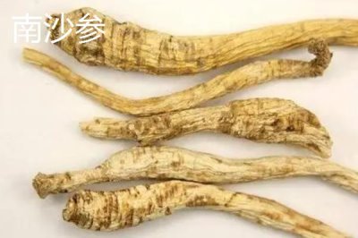 北沙参和南沙参有什么区别，科属、产地和形态均不同