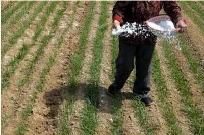 钙镁微肥的施用技巧,常见以下5种方式