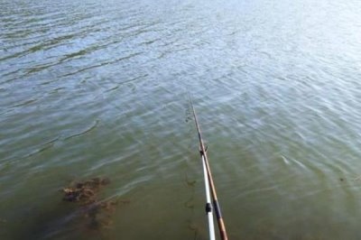 草鱼的钓法,用海竿最好