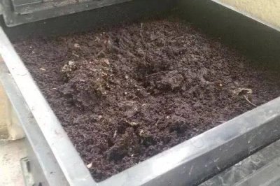 判断饼肥是否完成发酵的方法,轻微成团、散发出酵甜味便表示成功发酵