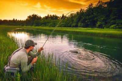 钓麦穗鱼用什么饵料好，荤素兼食