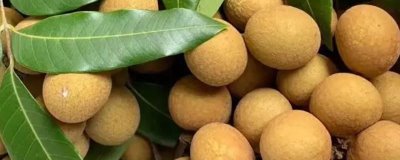 龙眼的价格，会受到地区、供应量等因素的影响